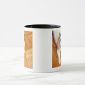 Ragdolkat op de vloer, verhoogd uitzicht mok (Midden)