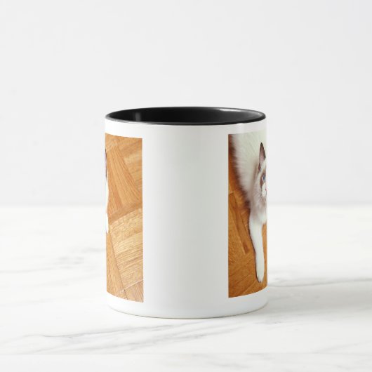 Ragdolkat op de vloer, verhoogd uitzicht mok (Midden)