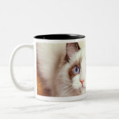 Ragdolkat op de vloer, verhoogd uitzicht tweekleurige koffiemok (Links)