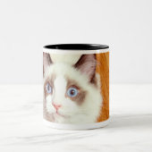 Ragdolkat op de vloer, verhoogd uitzicht tweekleurige koffiemok (Center)