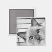 Ragdoll Alert. Magneet (Voorkant / Achterkant)