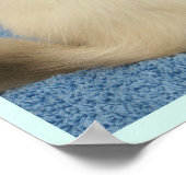 Ragdoll baby poster (Hoek)