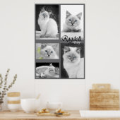 ragdoll baby poster 2 (Keuken)
