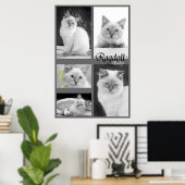 ragdoll baby poster 2 (Thuiskantoor)