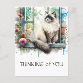 Ragdoll Beige Kat In Raam Met Zomerbloemen Briefkaart