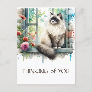 Ragdoll Beige Kat In Raam Met Zomerbloemen Briefkaart