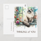Ragdoll Beige Kat In Raam Met Zomerbloemen Briefkaart (Voorkant / Achterkant)