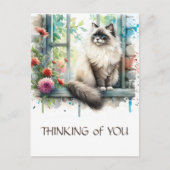 Ragdoll Beige Kat In Raam Met Zomerbloemen Briefkaart (Voorkant)