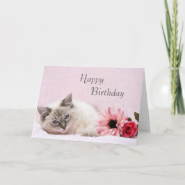 Ragdoll Birthday Card Kaart