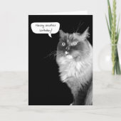 Ragdoll Birthday Humor Card Kaart (Voorkant)