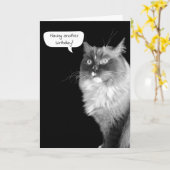 Ragdoll Birthday Humor Card Kaart (Gele Bloem)