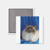 Ragdoll, blauw punt magneet (Voorkant / Achterkant)