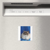 Ragdoll, blauw punt magneet (Insitu (Vaatwasser))