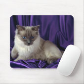 Ragdoll, blauw punt muismat (Met muis)
