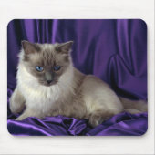 Ragdoll, blauw punt muismat (Voorkant)