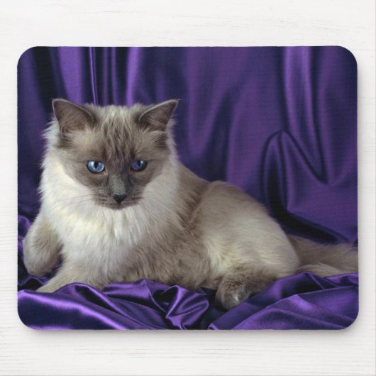 Ragdoll, blauw punt muismat (Voorkant)