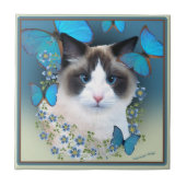 Ragdoll Blue Eyes Tiles Tegeltje (Voorkant)