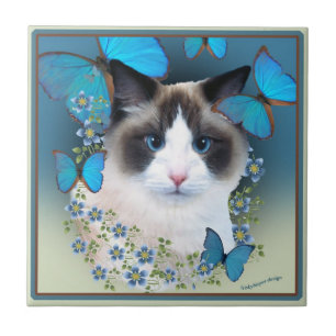 Ragdoll Blue Eyes Tiles Tegeltje