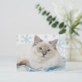 ragdoll briefkaart (Staand voorkant)