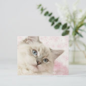 ragdoll briefkaart (Staand voorkant)