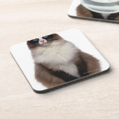 Ragdoll Cat Bier Onderzetter (Linkerzijde)