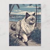 Ragdoll-Cat bij een tropisch strand tijdens zonson Briefkaart (Voorkant)