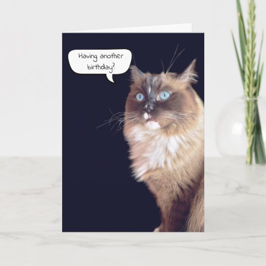 Ragdoll Cat Birthday Humor Kaart (Voorkant)