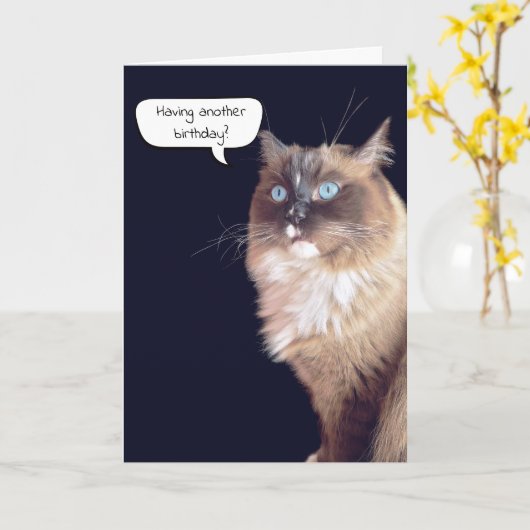 Ragdoll Cat Birthday Humor Kaart (Gele Bloem)