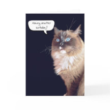 Ragdoll Cat Birthday Humor
