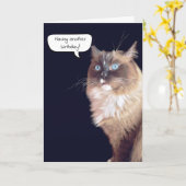 Ragdoll Cat Birthday Humor Kaart (Gele Bloem)