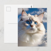 Ragdoll Cat Briefkaart (Voorkant / Achterkant)
