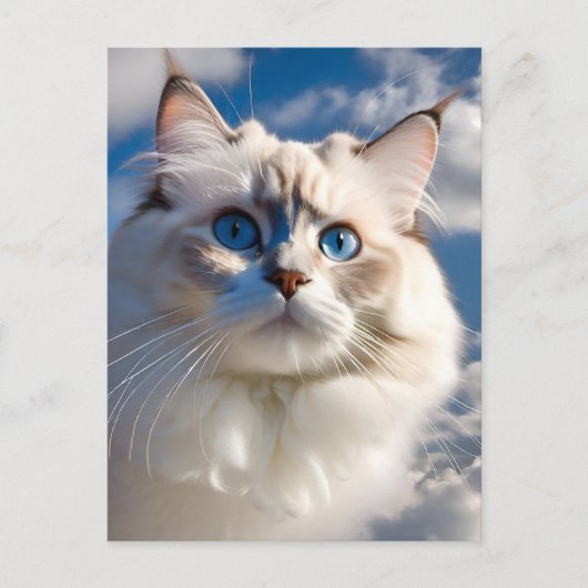 Ragdoll Cat Briefkaart (Voorkant)