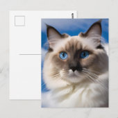 Ragdoll Cat Briefkaart (Voorkant / Achterkant)