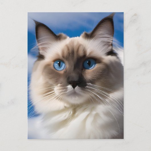 Ragdoll Cat Briefkaart (Voorkant)