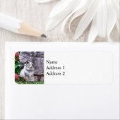 Ragdoll Cat by Hydrangea Etiket (Insitu)