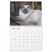Ragdoll Cat Calendar Kalender (Mar 2027)