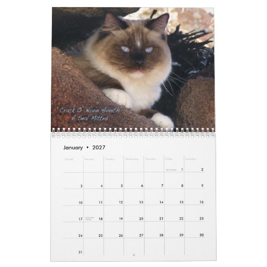 Ragdoll Cat Calendar Kalender (Jan 2027)