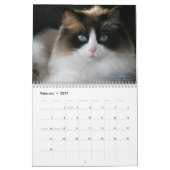 Ragdoll Cat Calendar Kalender (Feb 2027)