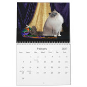 Ragdoll Cat Calendar Kalender (Feb 2027)