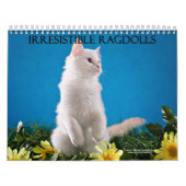 Ragdoll Cat Calendar Kalender (Hoes)