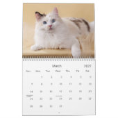 Ragdoll Cat Calendar Kalender (Mar 2027)