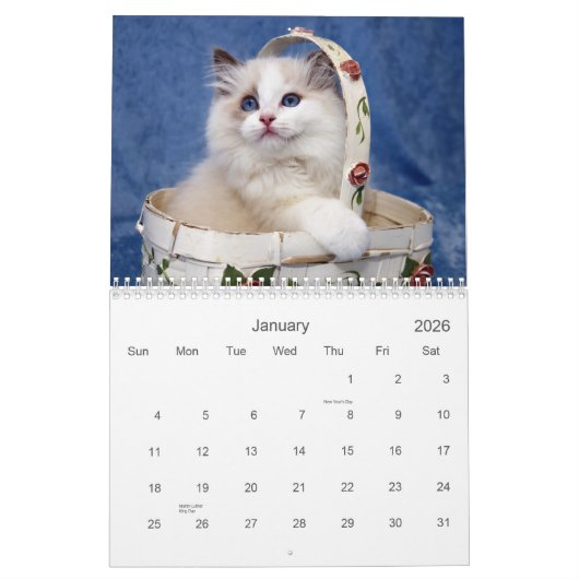 Ragdoll Cat Calendar Kalender (Jan 2026)
