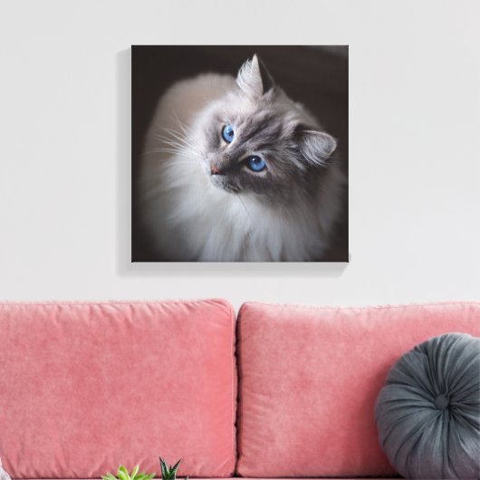 Ragdoll Cat Canvas - Millie's Blue Eyes (Insitu (Woonkamer))