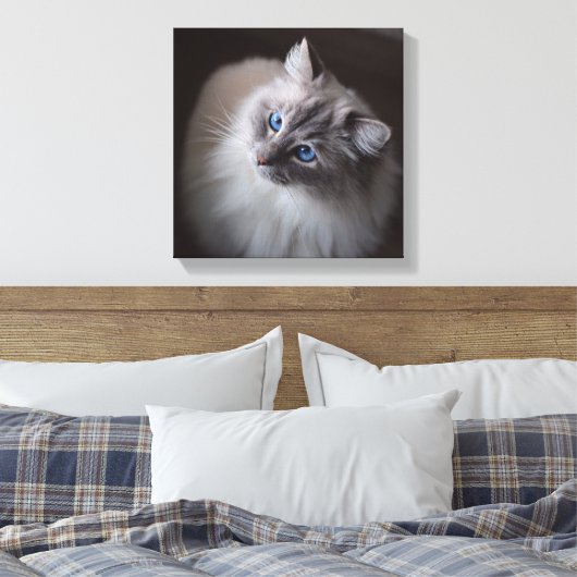 Ragdoll Cat Canvas - Millie's Blue Eyes (Insitu (Slaapkamer))