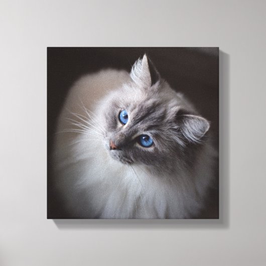 Ragdoll Cat Canvas - Millie's Blue Eyes (Voorkant)