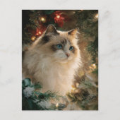 Ragdoll Cat Christmas Briefkaart (Voorkant)
