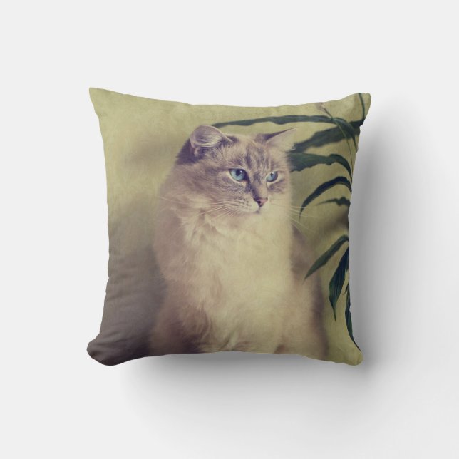 Ragdoll Cat Cushion Kussen (Voorkant)