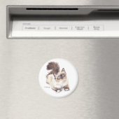 Ragdoll cat door artistieke GV Hemmings Magneet (Insitu (Vaatwasser))