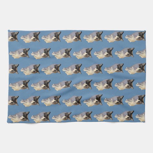 Ragdoll cat, Dusty Blue Theedoek (Horizontaal)