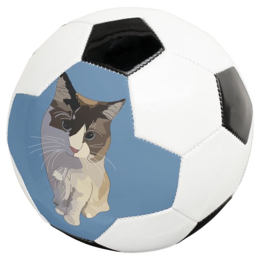 Ragdoll cat, Dusty Blue Voetbal (Drie kwart)